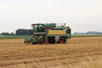 a flax combine harvester is threshing flax in a field in the dutch countryside in zeeland in summer