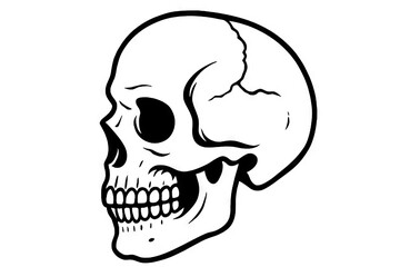 Fototapeta premium outline Illustration of human skull in profile view with detailed features on a white background. concept of anatomy study, human bones, skeletal structure, minimalist sketch, Halloween decor