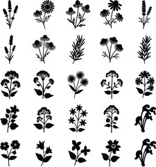 Collection of black silhouette botanical illustrations of various flowers and herbs on white background