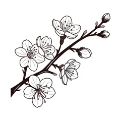 Blooming cherry tree branch with pink floral pattern design, perfect for spring nature illustration