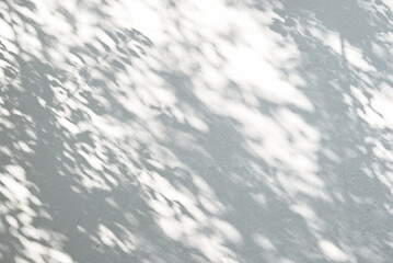 Natural, abstract background. Blurred shadows of foliage on a light textured wall.