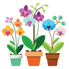 Orchids in Flowerpots Isolated on White Background – Elegant Botanical Plant Illustration for Interior Decor, Gardening, Nature Themes, or Floral Design Projects