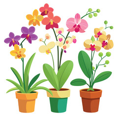 Orchids in Flowerpots Isolated on White Background – Elegant Botanical Plant Illustration for Interior Decor, Gardening, Nature Themes, or Floral Design Projects