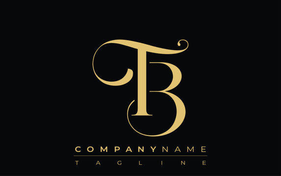 TB Abstract Creative Jewelry Logo. A stylish logo featuring golden monogram initials in an elegant and modern typography, perfect for branding