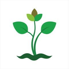 Green Water Hyacinth Flower Vector Design