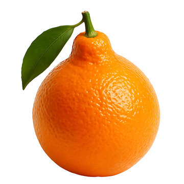 Isolated tangelo, single tangelo fruit with light falling on it from an angle, making it more visible and attractive, transparent background.