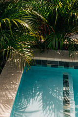 Serene poolside oasis surrounded by lush greenery on a sunny day