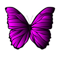 bunter Schmetterling, transparenter Hintergrund, Vektor