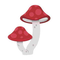 Mushrooms