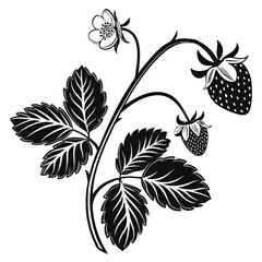 black and white forest strawberry