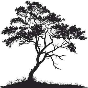 vector tree silhouette of farkleberry