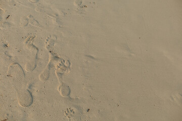 Footprints in soft sand reveal a peaceful day at the beach during sunset