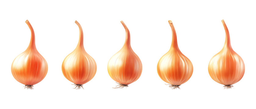 Pack Collection Five Small Brown Onions Culinary Vegetable Food Photography Ingredient set against transparent background