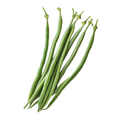Long green beans isolated on Transparent background for culinary and nutrition purposes, Long beans isolated on PNG background