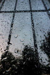 rain drops on the window