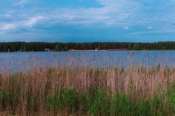 Serene landscape featuring tall dry reeds in the foreground and a calm lake stretching toward a forested shoreline. Small boats and distant buildings hint at a recreational area. Peaceful natural sett