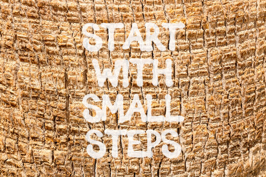 Start with small steps symbol. Concept words phrase Start with small steps on beautiful palm tree bark. Beautiful palm tree bark background. Business Start with small steps concept. Copy space.