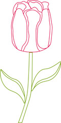Simple Outline of a Tulip Flower