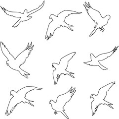 A seamless vector pattern illustrating a set of flying wild bird outline icons, featuring wings and feathers, perfect for nature and animal-themed designs