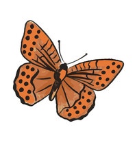 Obraz premium bunter Schmetterling, transparenter Hintergrund PNG