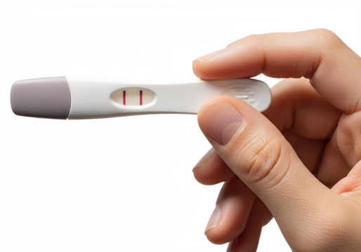 Positive pregnancy test held in hand on transparent background, clear result visible, motherhood, family planning, home test, fertility concept