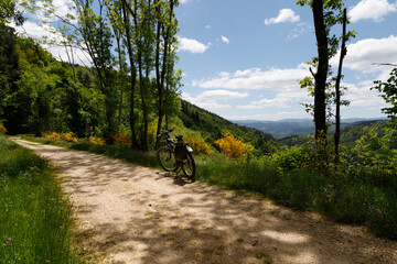 Pause auf einem Radweg mit gelben Str&auml;uchern im Hintergrund.