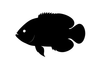 Vibrant Oscar Fish Silhouette with Elegant Curves and Playful Fins