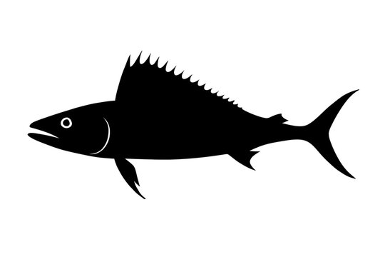 Silhouette of a Fierce Lancetfish with Prominent Dorsal Fin