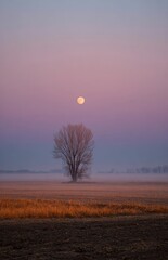 Fototapeta premium Full moon rising over misty field with bare tree at twilight