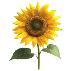 Obraz premium Vibrant Yellow Sunflower in Bloom