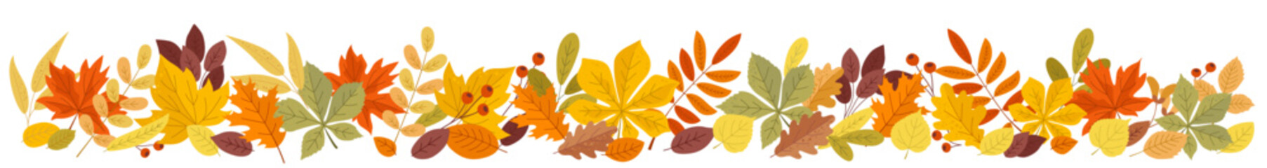 Autumn horizontal border with orange, yellow, green leaves and branches of red berry isolated on white background. Autumn seasonal background with colored leaves
