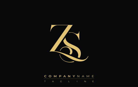 ZS Abstract Creative Jewelry Logo. A stylish logo featuring golden monogram initials in an elegant and modern typography, perfect for branding