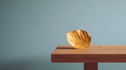 Dry leaf on wooden table against minimalist blue background