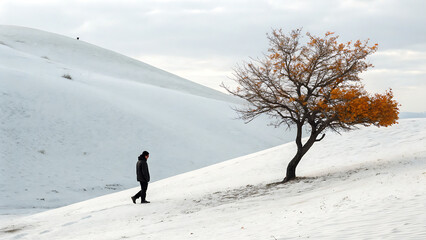 A lone figure walks in a snowy landscape near a tree with orange leaves under a cloudy sky view - ai generated