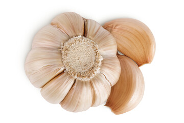 unpeeled whole garlic and cloves isolated on white background close up. Top view. Flat lay.