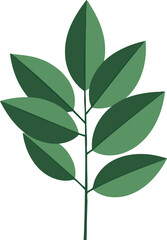 Green Leaves Branch Vector Illustration with Simple Flat Design Natural Elements 