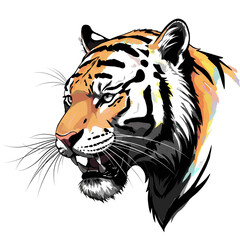 head of tiger