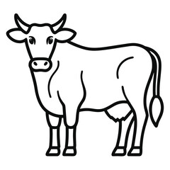 black and white cow