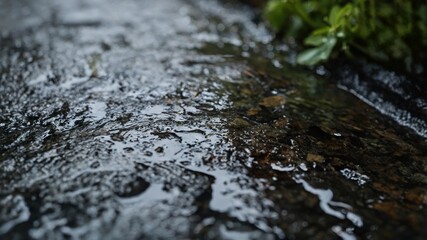 Fototapeta premium Tranquil stream flowing over rocks beside lush greenery in nature
