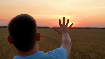 Child boy stretches his hand to sunny sky dawn. Boy looks through fingers of hand at sun, childhood dreams in nature. Child plays in countryside in wheat field. Children nature travel. Children prayer