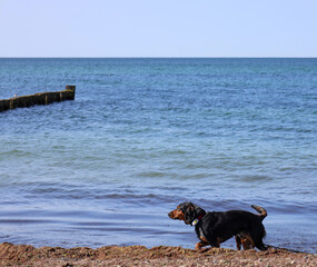 Tranquil waves roll onto the Baltic Sea shore under a wide open sky — a peaceful moment by the...