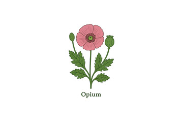 Opium vector on white background.01