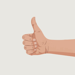 Thumbs Up Hand Gesture Illustration on White Background