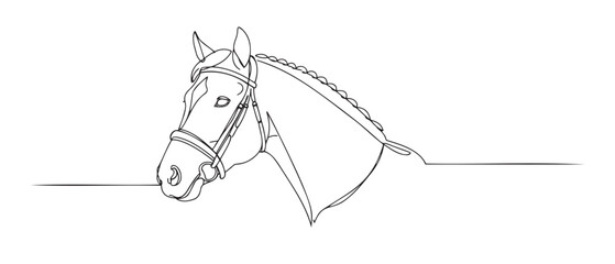 Outline of a horse's head with bridle, symbolizing equestrian sports
