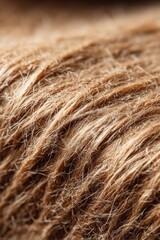 Fototapeta premium Exploring the intricate textures and fibers of cardboard in an artistic macro study