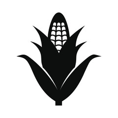 Corn Cob Silhouette on White Background  
