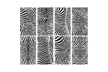 Collection of diverse black and white zebra stripe patterns