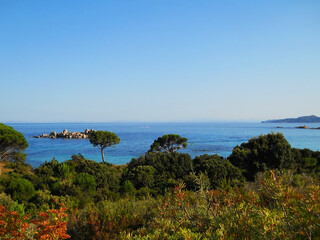 Stunning landscape of Corsica in summer, where lush green trees meet the sparkling blue sea under...