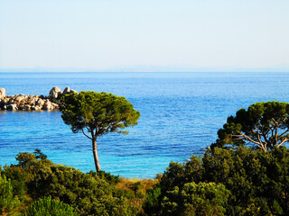 Experience the stunning landscape of Corsica in summer, where lush green trees meet the sparkling...