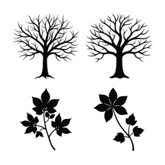 Obraz premium Palash flower branch and tree bundle